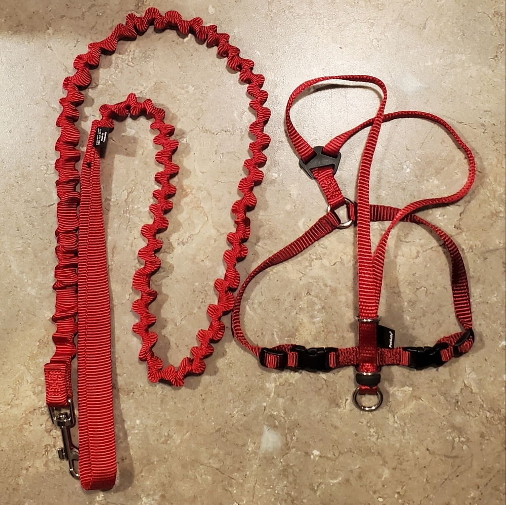 PETSAFE - COME WITH ME KITTY HARNESS & BUNGEE LEASH - ADJUSTABLE - red